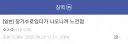 징역 8년 살고 나온 사람의 후기.jpg