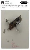 초코 한입 맛잇게 배어물고 주작하고 앉았네 ㅋㅋㅋ