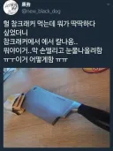 과자 먹는데 안에서 칼날나왔어....