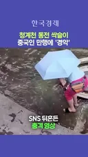 청계천에서 중국인의 만행.mp4