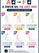 유게이들도 알면 좋을 여자가슴 크기 확인하는 법