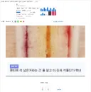 베스트 중독이 위험한 이유 ㄷㄷㄷㄷ