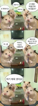 식당에서 메뉴 통일하자는 상사에게 카운터