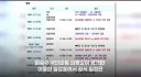 "박지성 뭘 알아?" 협회장 포함 축협 참관단 출장비만 4억 5000만원