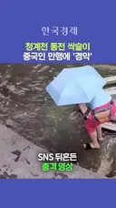 청계천 동전 싹슬이 중국인 만행.mp4