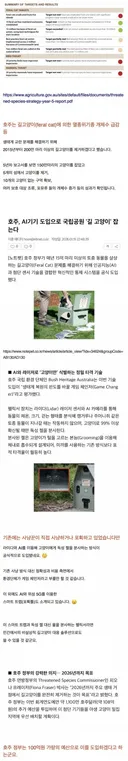 호주, AI기기 도입으로 독극물로 국립공원 '길 고양이' 멸종될때까지 잡는다