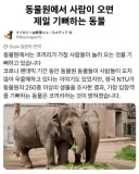 동물원에 사람이 오면 즐거워 하는 동물.jpg