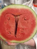 수박 겁탈기