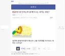 혐오 일침 하는 글에 반드시 튀어나오는 것