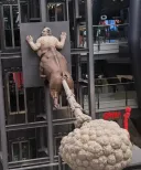 너네 켄타우로스가 방구분사로 날아가는거 본 적 있어?