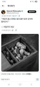 인상적인 체스 속담.webp