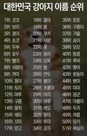 강아지 이름 순위.jpg