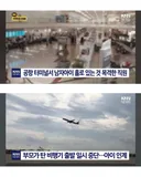 여권 만료된 10살 아들 공항에 두고 떠난 부부.jpg