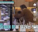 [금쪽같은내새끼] 엉엉 우는 엄마 앞에서 마냥 신난 아들