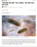 영국 '비상' "항문 성교로 항문 통한 전파 급증"