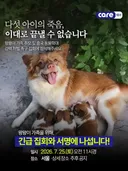 중국 유기견 왕왕이 가족 추모 집회 - 동물권단체 케어