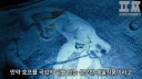 영화유튜버의 호프 리뷰 요약