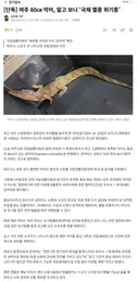 여주 악어의 정체