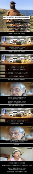 하와이 고양이 근황 feat. 용기