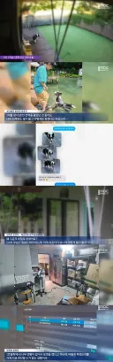 반려견 맡긴 애견호텔서 실종됐다....알고보니 죽음 은폐