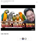 유명한 커뮤니티 서리꾼