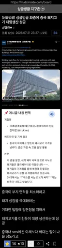 오싹오싹 중국... 돼지 대량 생산 성공