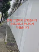 구미시 신축 아파트 재개발 공사 현장에 갇힌 길고양이들