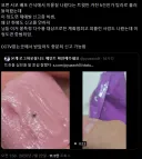서코 먹을거에 철들어가는 가짜사건은 2016년도 부터 발전이 없냐