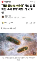 항문성교의 위험성...