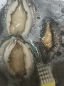 전복