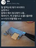 요즘 먹는거에 이런거 들어있을수도 있으니 조심해라
