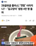 캣맘 금지법 청원...4만명 돌파했네요.