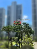 신도시의 수상한 신혼부부 근황 ㄷㄷㄷ 有