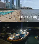 다큐3일 해운대편