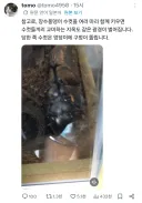장수풍뎅이 수컷 여럿을 한번에 키우면 생기는 일