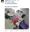 애견 미용실에서 벌어진 충격적인 사건..