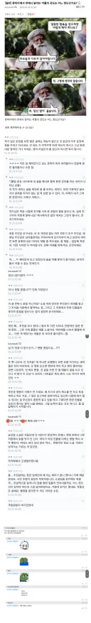웹소설 작가가 받는 악플의 강도.jpg