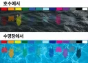 목숨이 소중한 사람 필독