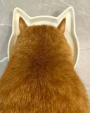 고양이 전용 물그릇
