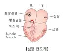 달리기 해서 좋은거 ㄹㅇㅋㅋㅋ
