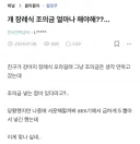 강아지 장례식 조의금 얼마나 해야해??...