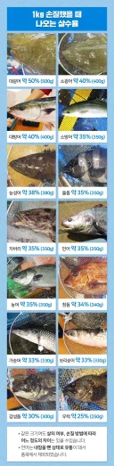 횟감 생선들 수율 비교