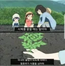밭에 시체 묻을 때 꿀팁.jpg