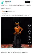 암컷 새 간접 경험