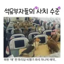 석유 부자들의 사치 수준.jpg