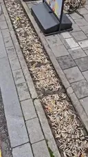 약혐) 구로디지털단지 배수구 청소