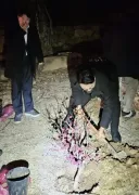 오늘 오세훈 판결 보고 떠오른 사람