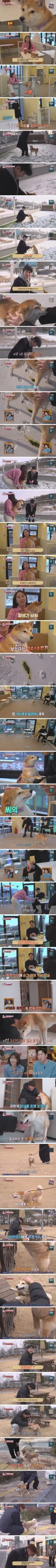 잘생긴 남자보면 오줌 싸는 개ㅋㅋ