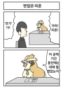 가라 피죤! 쪼기!