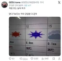 일본의 뭔가이상한 날씨 마크.jpg